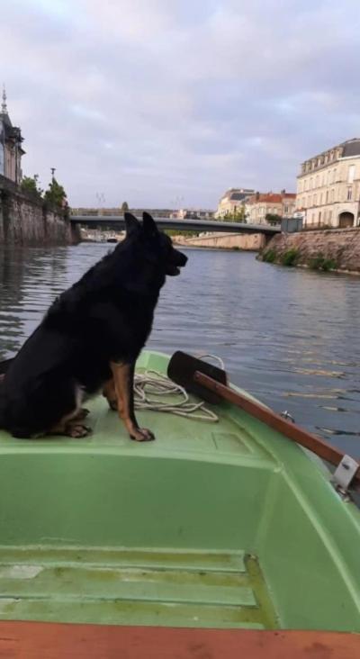 Le Embarque - Gere Par Presta-zen'services - Barque Electrique En Supplement Holiday home